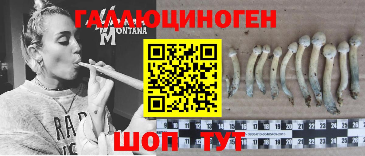 Псилоцибиновые грибы мухоморы Дубна