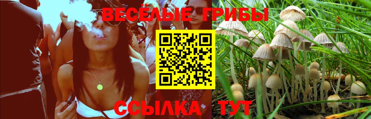 Галлюциногенные грибы прущие грибы  Вход с VPN  Дубна 